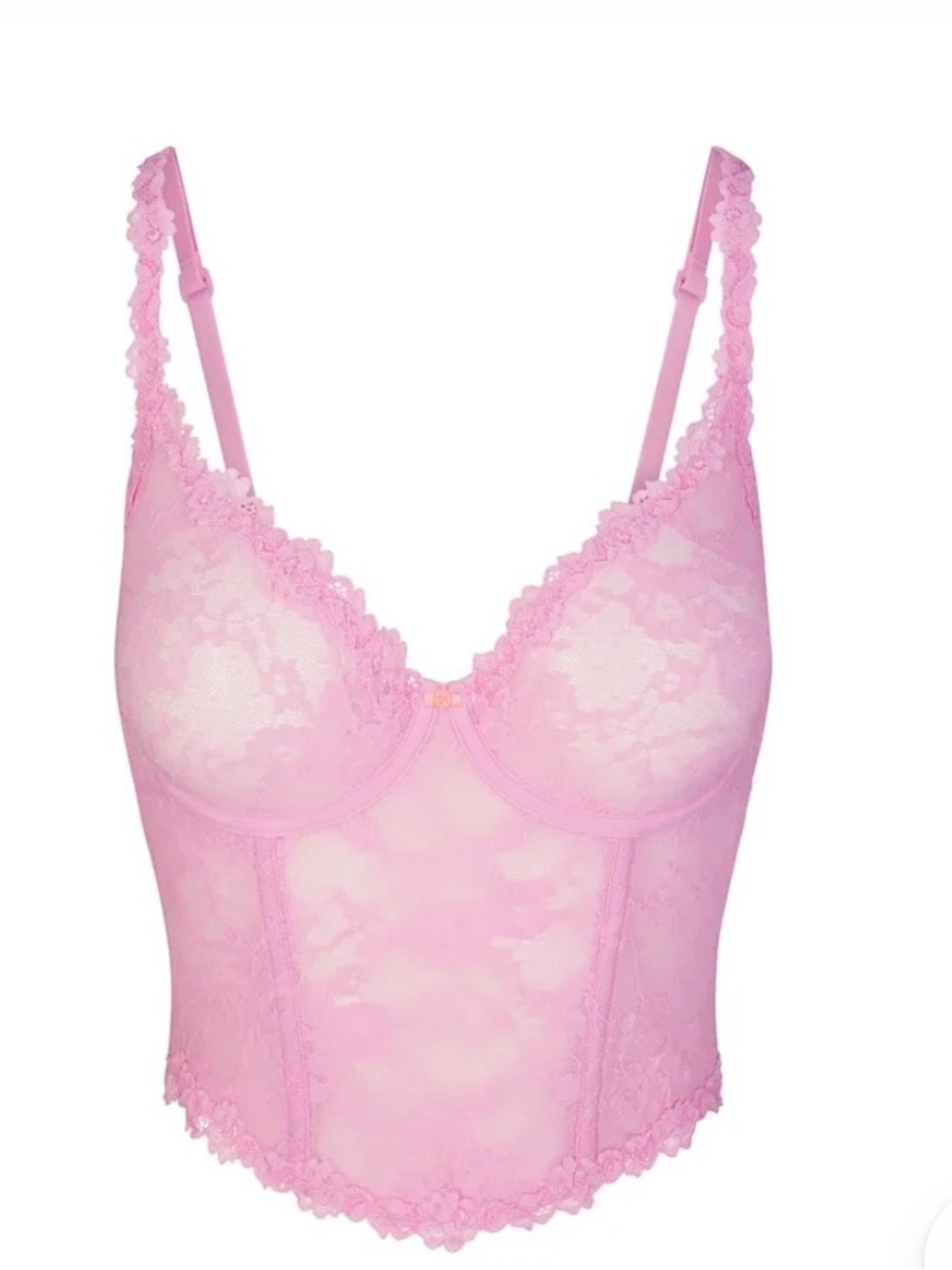 Skims Stretch Lace Corset Size 2X